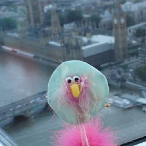 Meet your Posher, Darcy